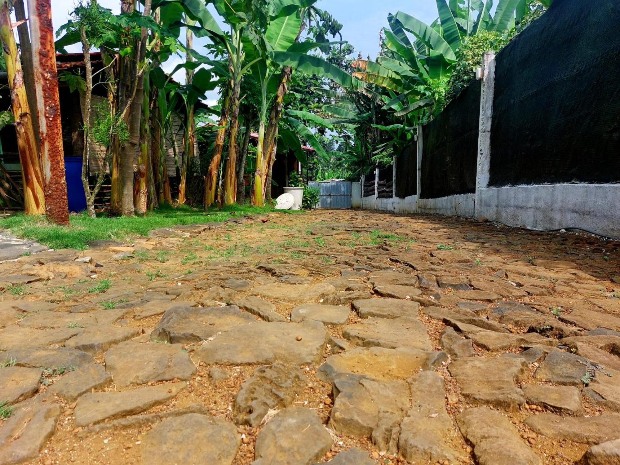 Gente D'Aqui Nge D'Ai Ee Villa Sao Tome Eksteriør billede